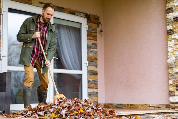 Best Attic Cleanout Services  in Albany, CA