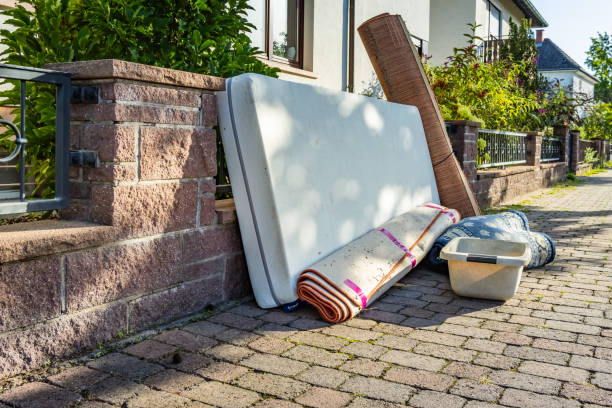 Best Dumpster Rental Services  in Albany, CA